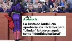 &iquest;Qui&eacute;n quiere salud cuando puede disfrutar de la tauromaquia?