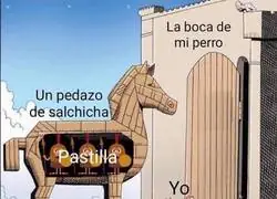 T&aacute;cticas milenarias para enga&ntilde;ar al perro