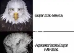 Un desaf&iacute;o extremo