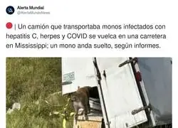 He visto demasiadas pel&iacute;culas de terror para saber como termina esto