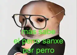 La &uacute;ltima actualizaci&oacute;n del Perro es genial