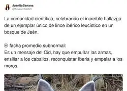 La derecha no deja de sorprender
