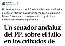 El PP echa la culpa a todos menos a ellos mismos