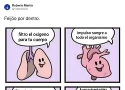 Simplemente el cuerpo de Feij&oacute;o