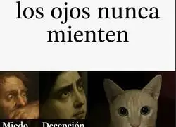 Diferentes sentimientos