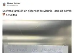 La gente es muy cruel con los animales