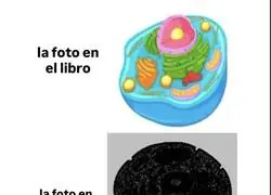 Imposible sacar buena nota