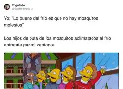 Los mosquitos evolucionan