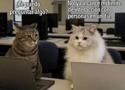 As&iacute; funciona todo ahora