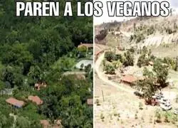 Los veganos son un peligro
