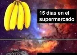 T&iacute;pico con los pl&aacute;tanos