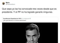 Pedro S&aacute;nchez puede con todo