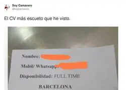 El CV m&aacute;s simplificado imposible