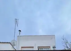 La verg&uuml;enza ajena para anunciar una vivienda a la venta