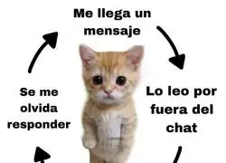 Soy olvidadizo para responder