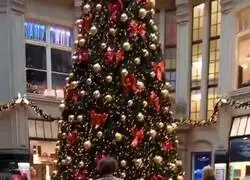 Activistas clim&aacute;ticos vandalizan un &aacute;rbol de Navidad en Berl&iacute;n.