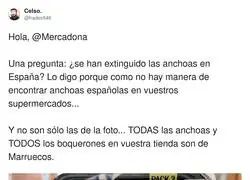 Las anchoas solo est&aacute;n en Marruecos