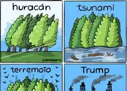 As&iacute; es el fen&oacute;meno Trump