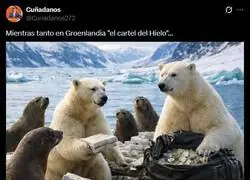 Gracias Trump, por liberarnos del terror&iacute;fico 'cartel del Hielo' de Groenlandia