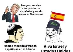 As&iacute; se ven los votantes de VOX