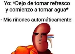 Se fortalecieron de nuevo