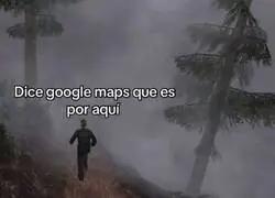 Hay que confiar ciegamente