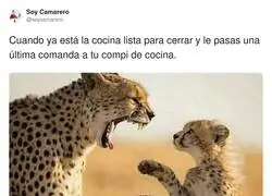 Comanda a &uacute;ltima hora