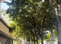 Distop&iacute;a del mundo actual: Un robot reparte comida a domicilio mientras esquiva a una persona sin trabajo y en la miseria que yace en la acera en Miami (EEUU)