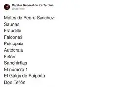 El coleccionista de motes Pedro S&aacute;nchez