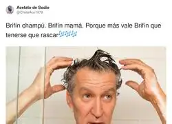Brif&iacute;n champ&uacute;. Brif&iacute;n mam&aacute;