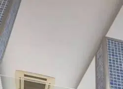 Votante medio de VOX