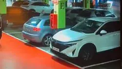 Genial el v&iacute;deo de la polic&iacute;a nacional deteniendo a una pandilla de 7 delincuentes que consiguieron 48.000&euro; robando a mujeres en el parking de un centro comercial de Madrid