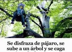 Seguro que estuvo esperando todo el a&ntilde;o para vivir su momento