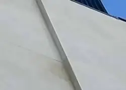 Est&aacute; compinchado con los okupas: Un cuervo arrancando varias p&uacute;as met&aacute;licas antipalomas del borde de un edificio