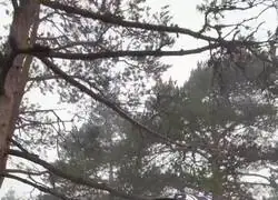 S&aacute;nchez sube un v&iacute;deo &ldquo;montando en bici&rdquo;, fijaos en la gorra: cuando habla es negra, pero cuando &ldquo;monta en bici&rdquo; se convierte en blanca