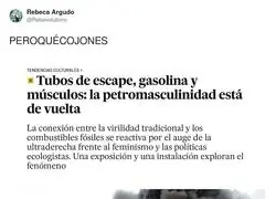 El d&iacute;a que le pusieron nombre acad&eacute;mico a oler a gasolina y creerse Vin Diesel