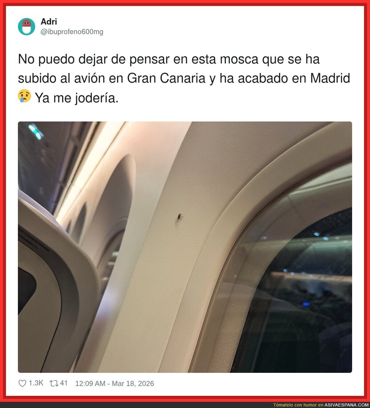 La mosca viajando en business con destino sorpresa