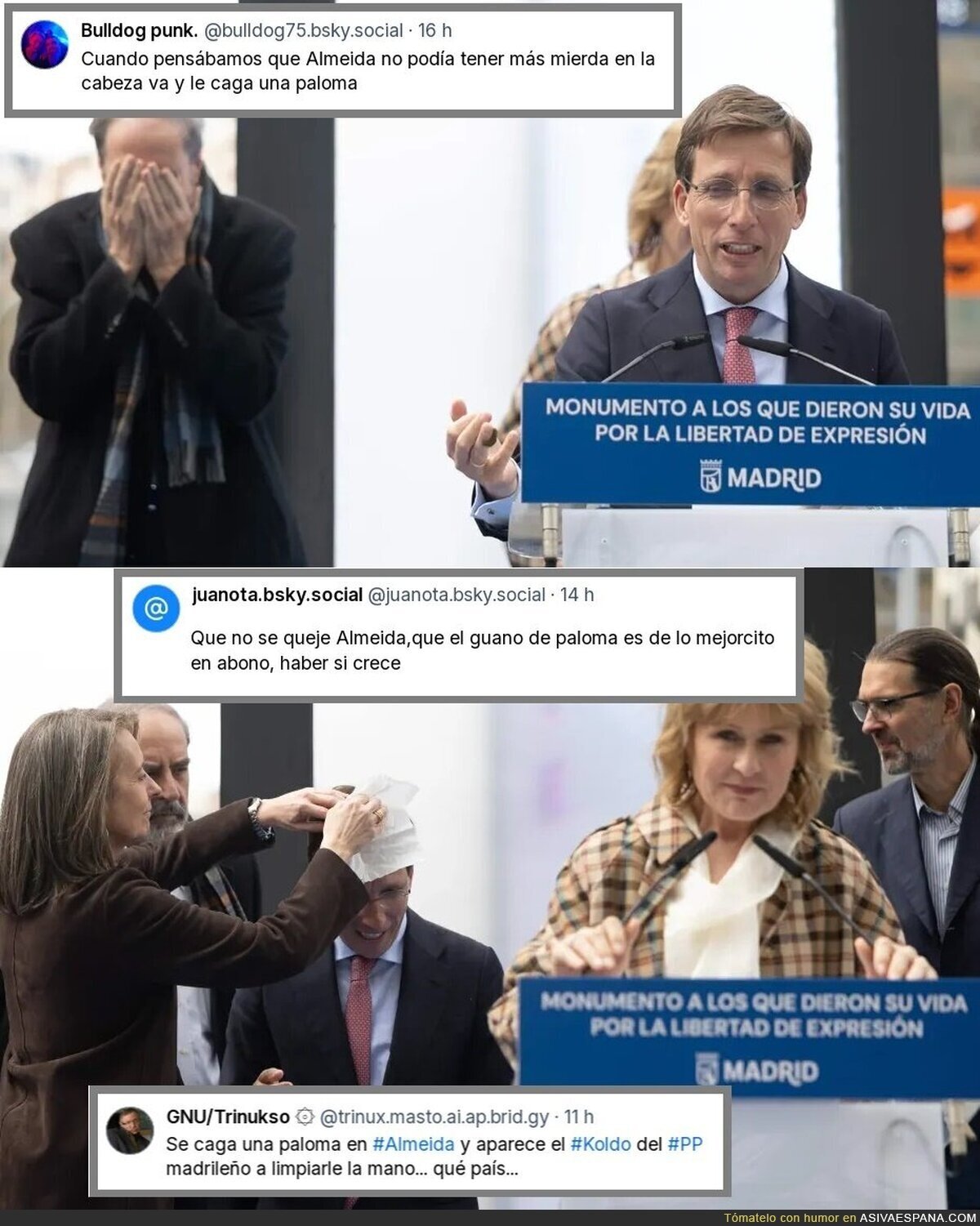 La paloma le deja a Almeida un claro mensaje