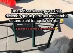 Con los perros a vueltas&hellip;de la cuenta de Tik Tok de @izar_the_aussie