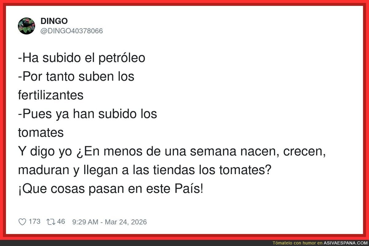 En cosa de pocos d&iacute;as