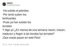 En cosa de pocos d&iacute;as