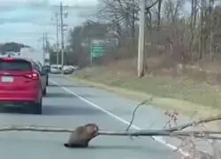 Yo caminando por el parking del IKEA pensando: "&iexcl;Nah, seguro que cabe en el coche la estanter&iacute;a!"