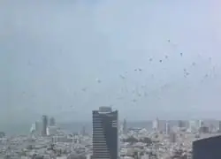 &Uacute;LTIMA HORA: Los cuervos sobrevuelan Tel Aviv. Si conoces las Escrituras, esto no es buena se&ntilde;al