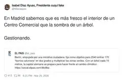 &Aacute;rboles pa&rsquo; qu&eacute;, si ya tenemos aire acondicionado y consumismo