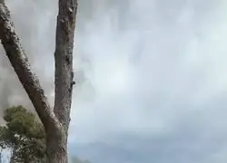 Mientras tanto, contenedores con bater&iacute;as en el puerto de Barcelona