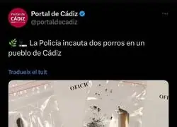 MACROOPERACI&Oacute;N