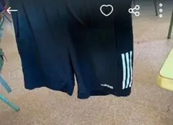 &iquest;Rentan? &iquest;Son para un colega que no la mete ni pagando?