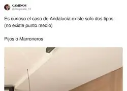 En Andaluc&iacute;a no hay clase media: o hueles a Ralph Lauren o a vaper de mel&oacute;n