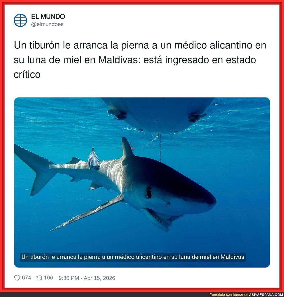 &iquest;Si el buceador fuera fontanero pondr&iacute;ais &ldquo;tibur&oacute;n arranca la pierna a un fontanero alicantino&rdquo; ?