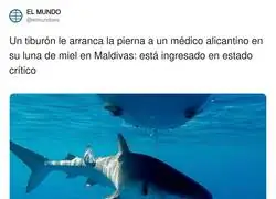 &iquest;Si el buceador fuera fontanero pondr&iacute;ais &ldquo;tibur&oacute;n arranca la pierna a un fontanero alicantino&rdquo; ?